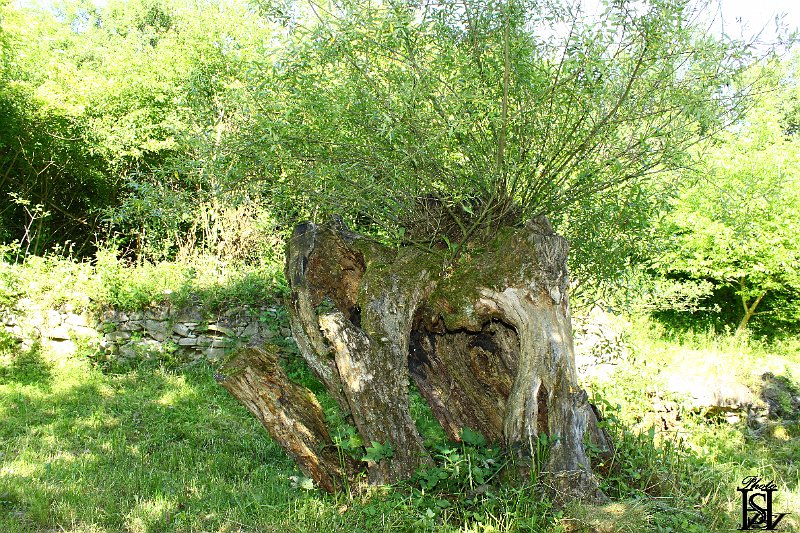 Poliaci na Tarasu  61.JPG